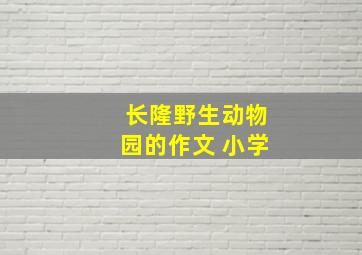 长隆野生动物园的作文 小学